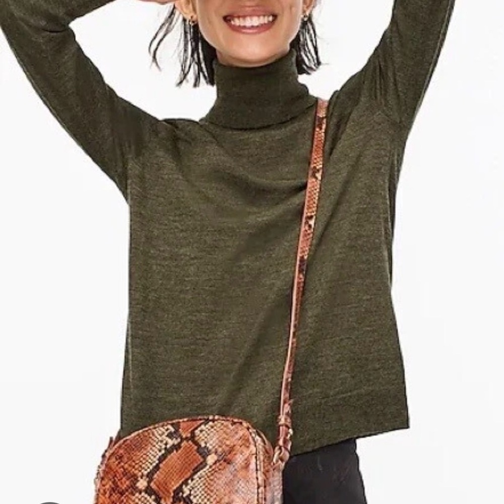 J. Crew Leather Snakeskin Crossbody Bag